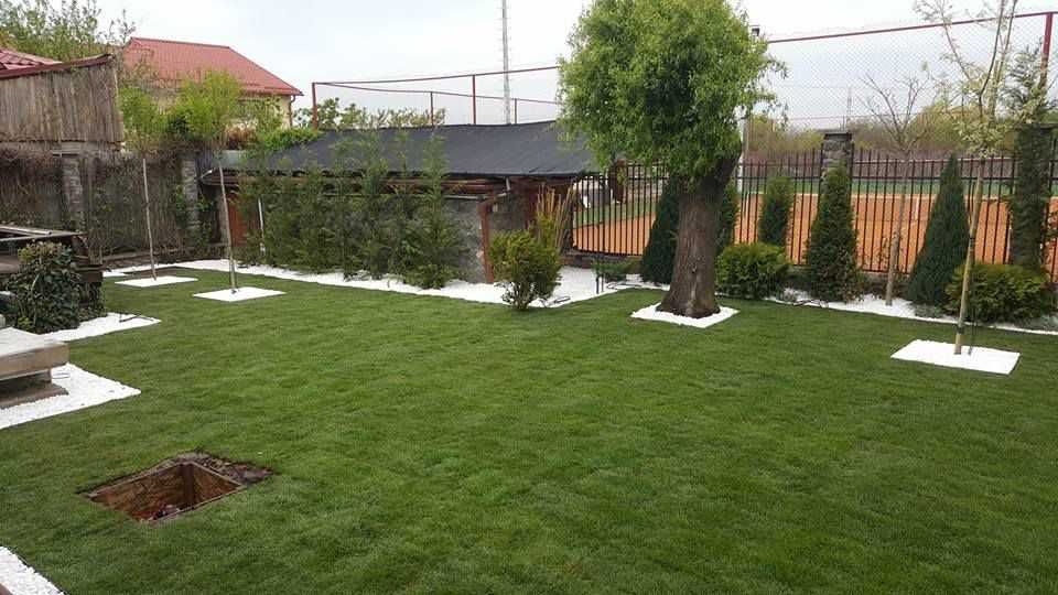 Amenajare & Întreținere Curți