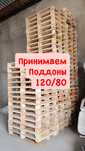 Падон кабылдаймыз Прием поддонов 120/80