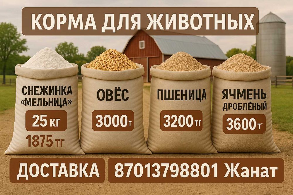 Овёс, пшеница, ячмень, отруби — низкие цены! Есть доставка