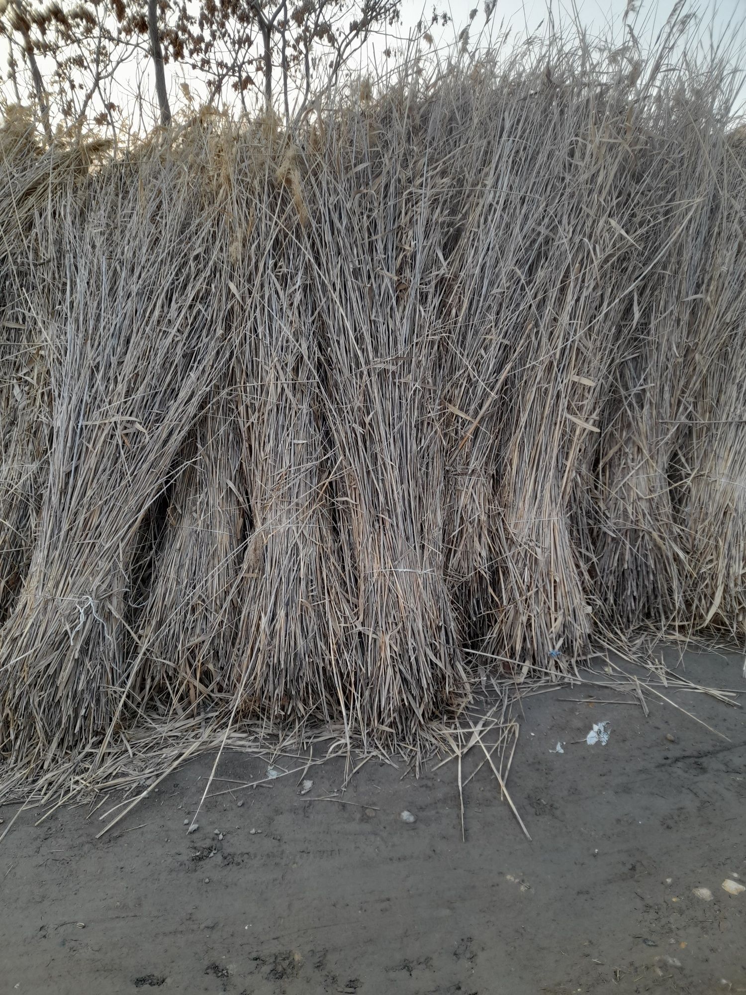 Qamish maxsulotlari