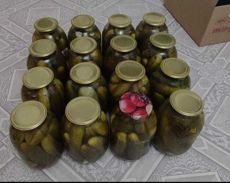 Продам офигенные огурцы