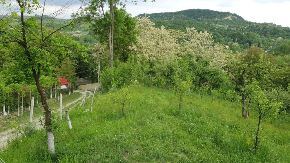 Teren Provita de Sus, Breaza