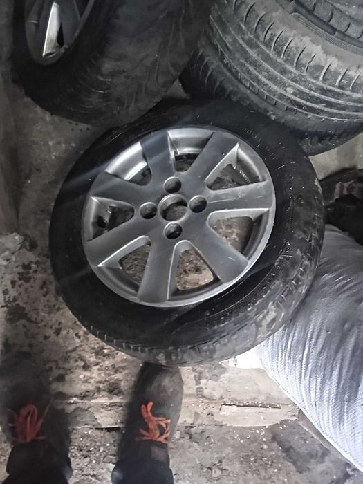 FRF hddbcbxzbfcxzfff