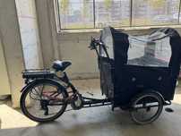 Tricicleta electrica transport copii