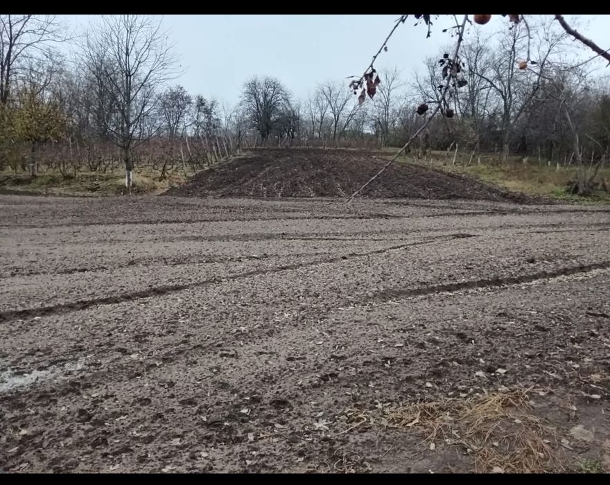 De vânzare casă independentă cu teren + vie si solar