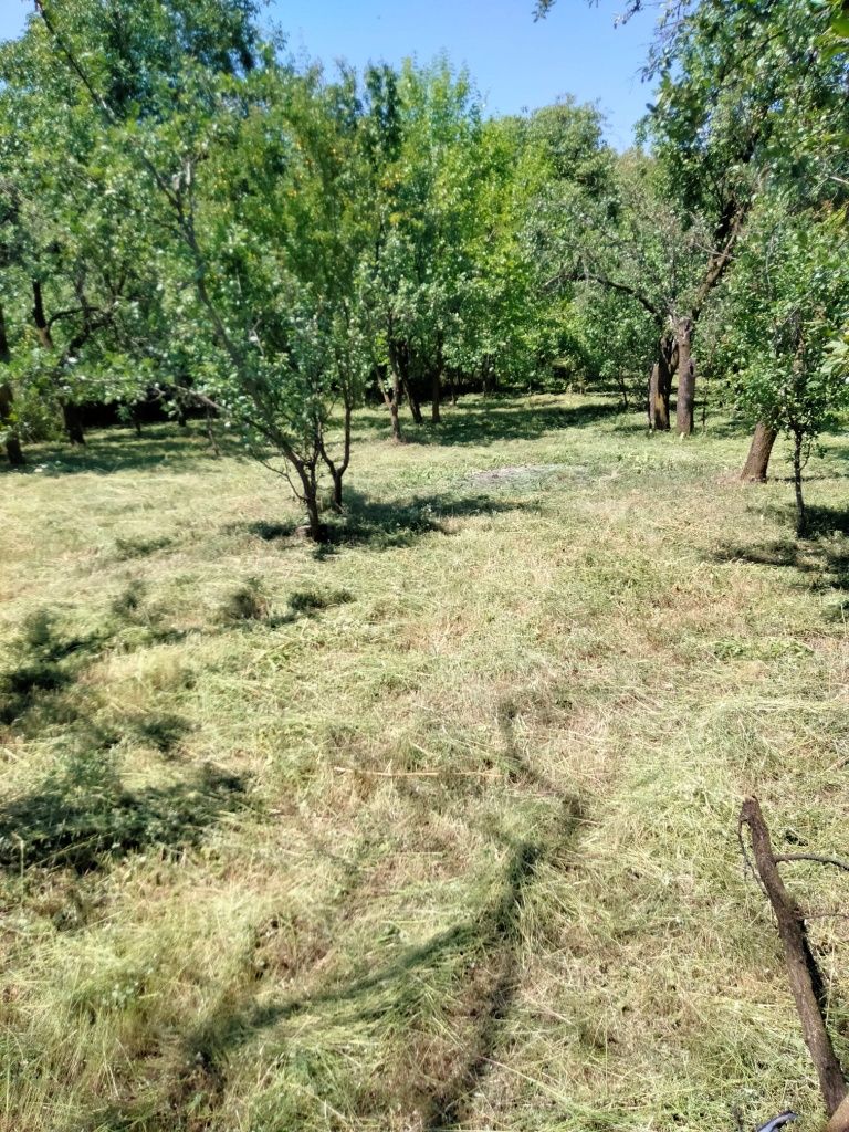 Ocazie,Teren de casa,vila,deal-munte,cu livada!Acte la zii Negociabil