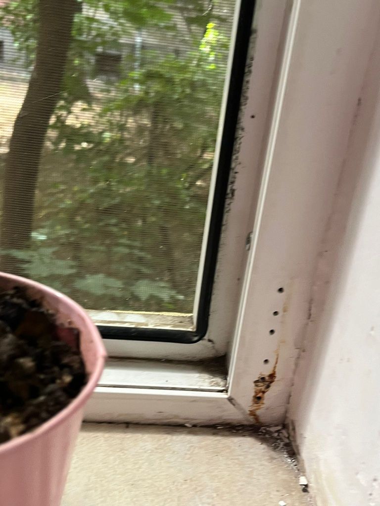 Reparații termopane!