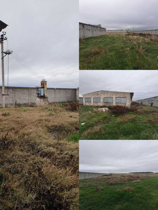 Surum, Bag'ishda 2.4 GA tovuq ferma sotiladi, Quyichirchiq tumani.