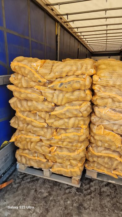 Ceapa Cartofi pere mere morcov import