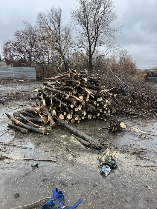 Дрова бесплатно, самовывоз