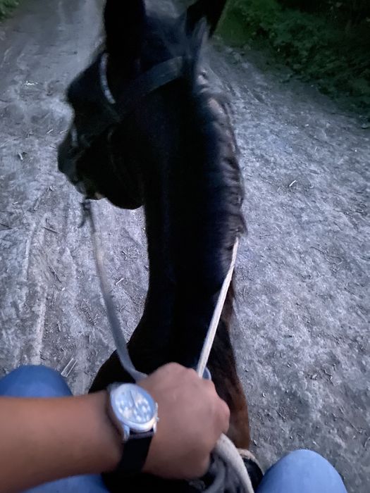 21 хасырдың Гелендвагені