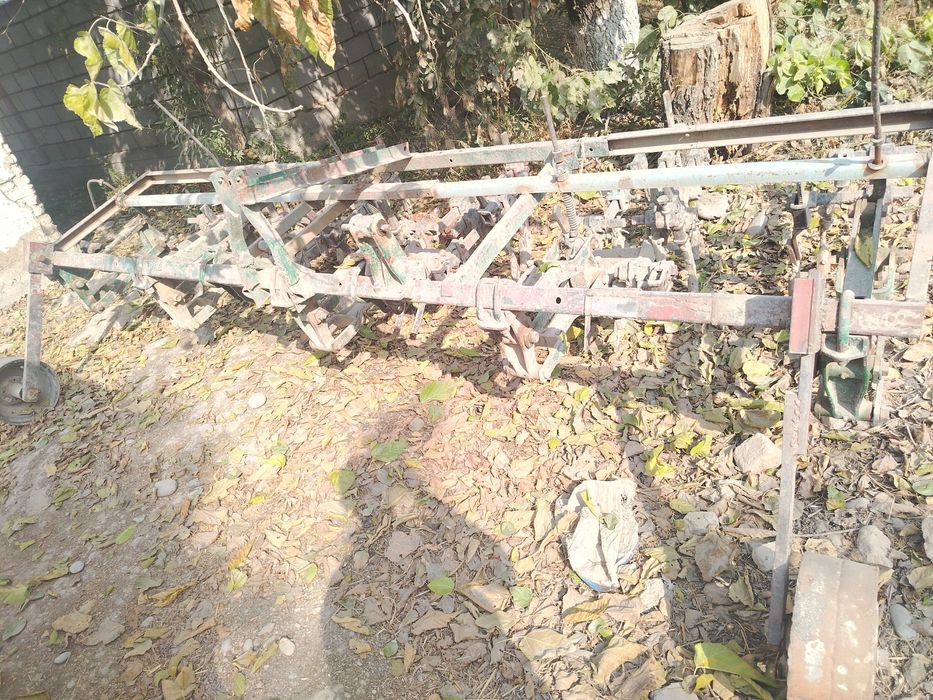 Kultuvatsa sus sotiladi selka