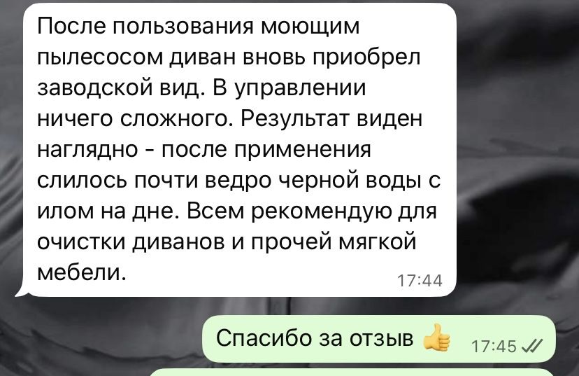 Химчистка . Моющий пылесос в аренду