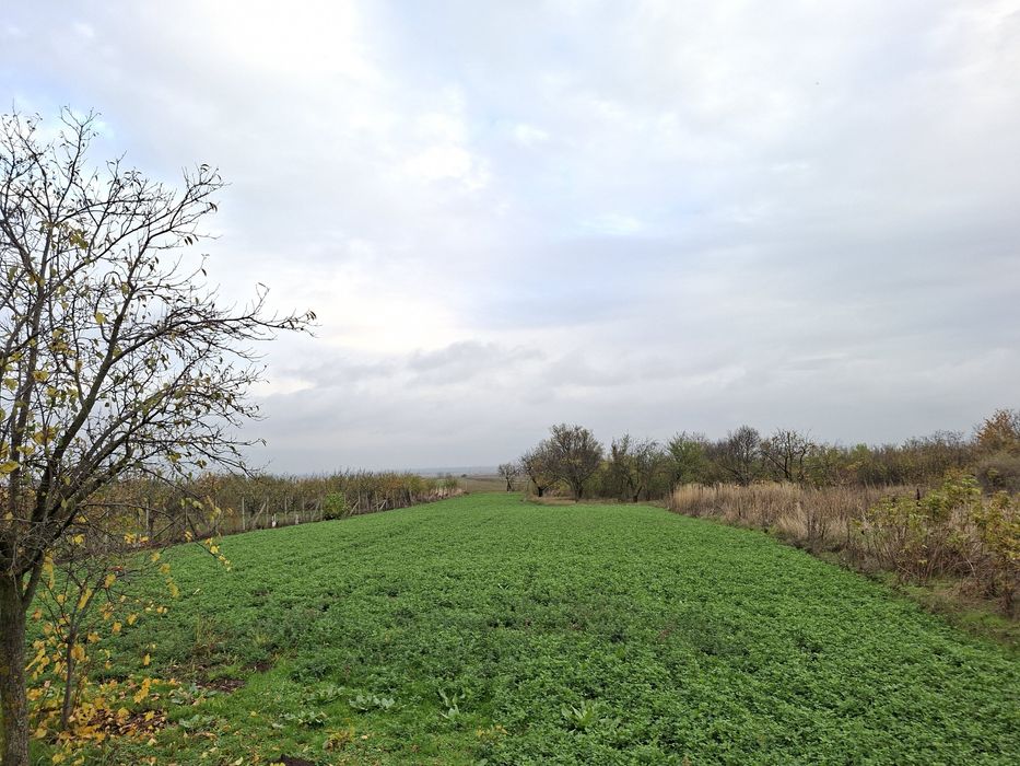 Teren intravilan 3240mp + casa din cărămidă, Com Vernesti sat Zoresti