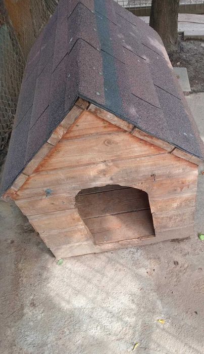 Vând cușcă câine