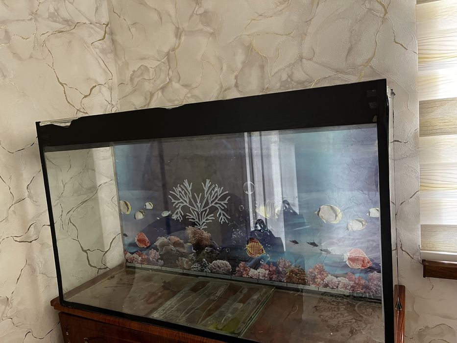 Аквариум подставкасымен