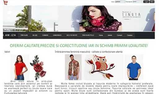 Proiect IT de licență în informatică: aplicații software demonstrative