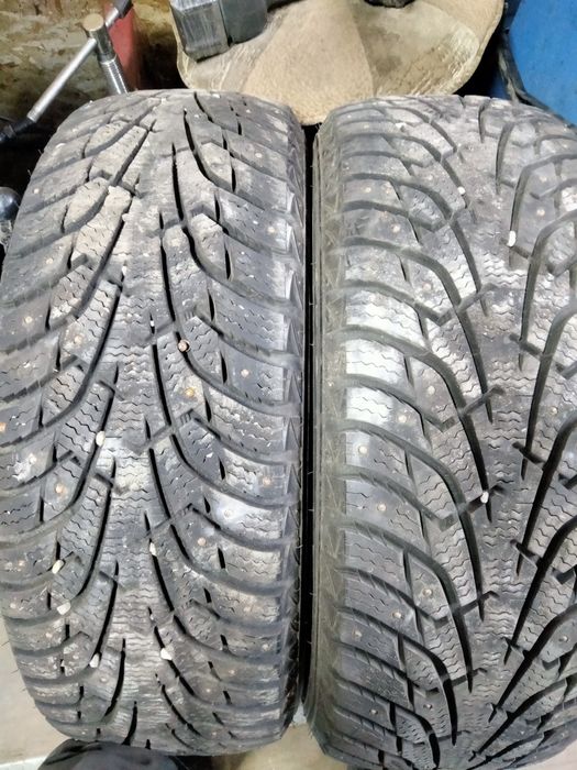 Продам два болона