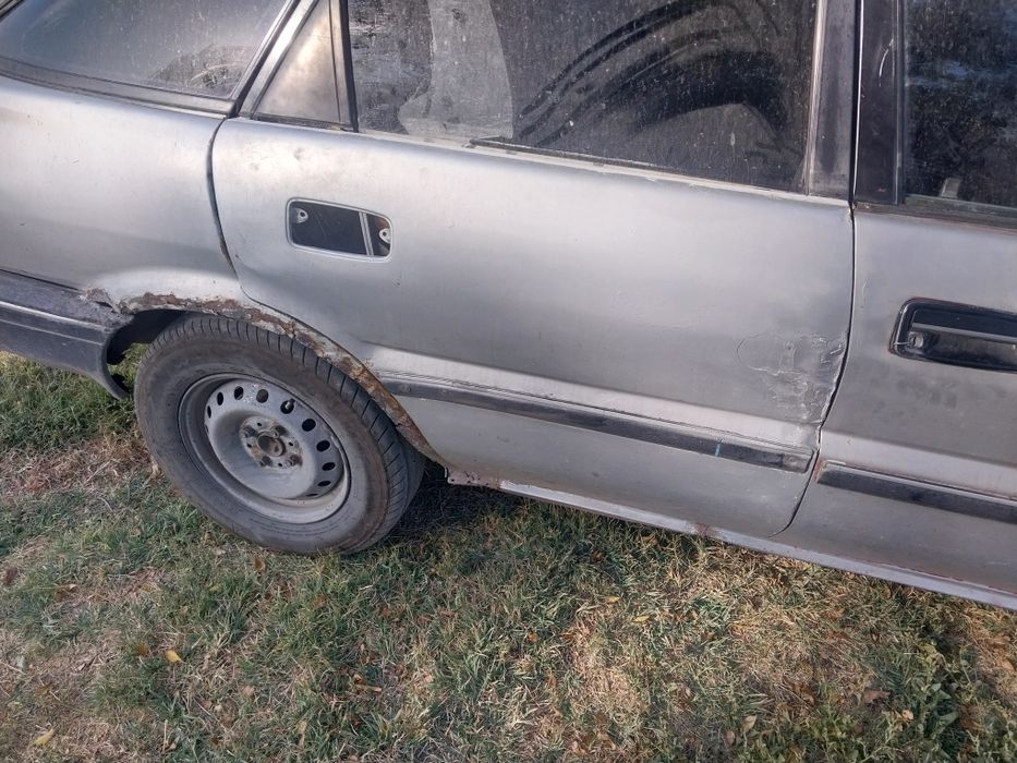 Таета каролла об.1.3