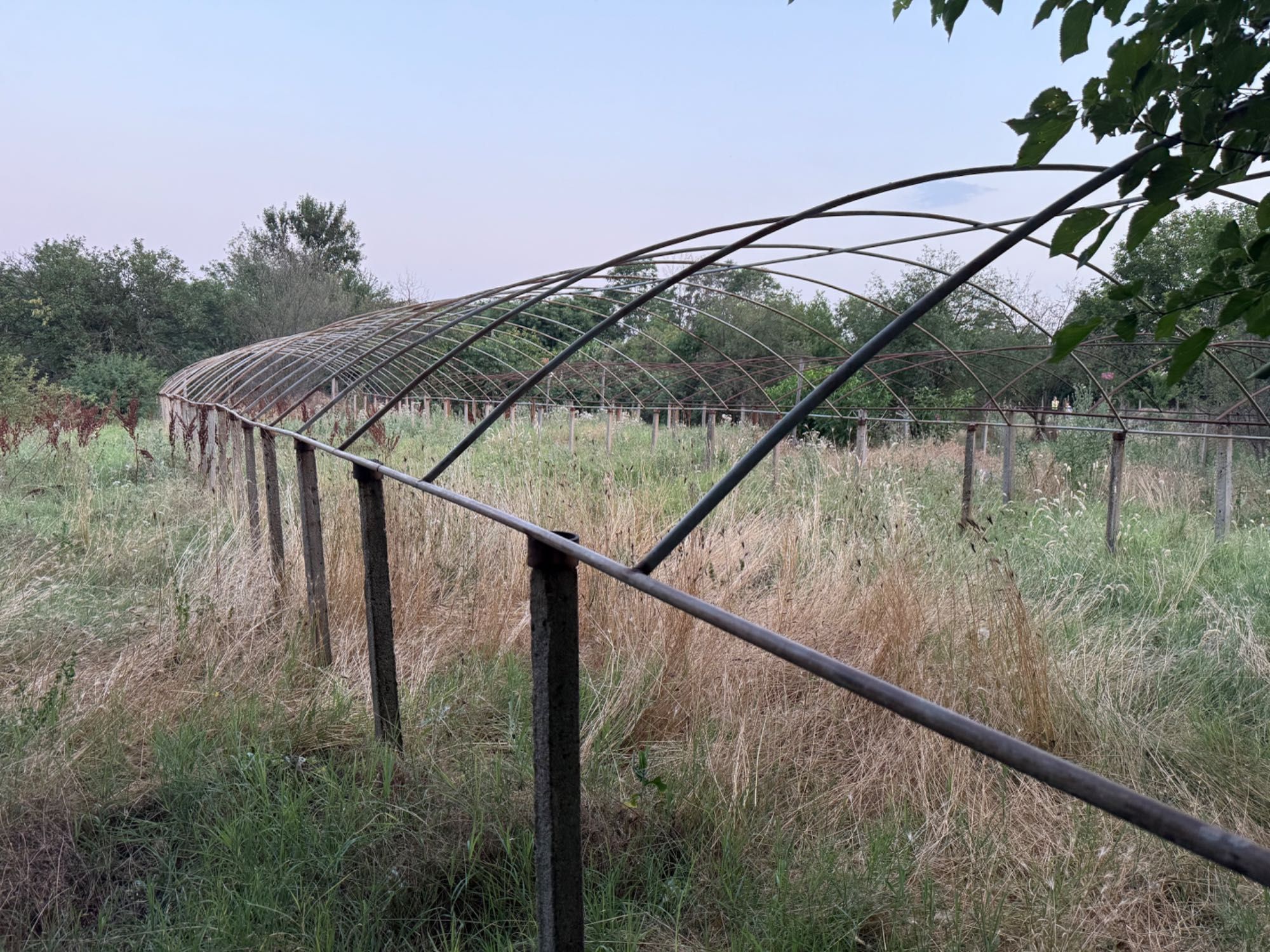 Оранжерия, парник на ниска цена