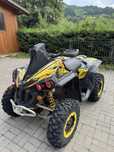 Can am renegade 800
