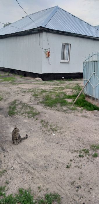 Продам дом с большим участком