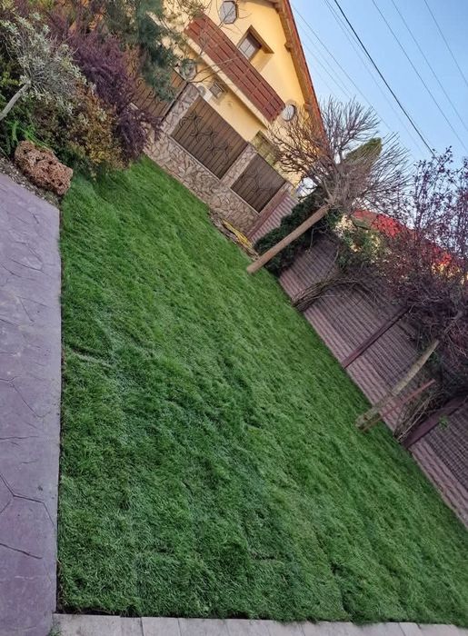 Gazon rulouri OFERIM MONTAJ