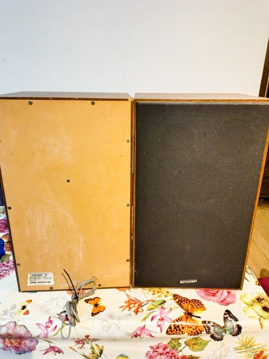 Amplituner, 500,boxe,300, pik-up,600, deck,150, Video.300