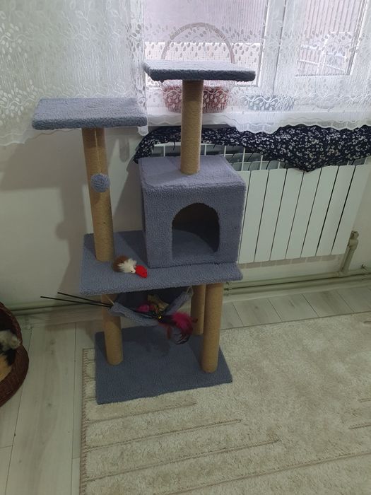 Мысыкка арналган Когтеточка  сатылады