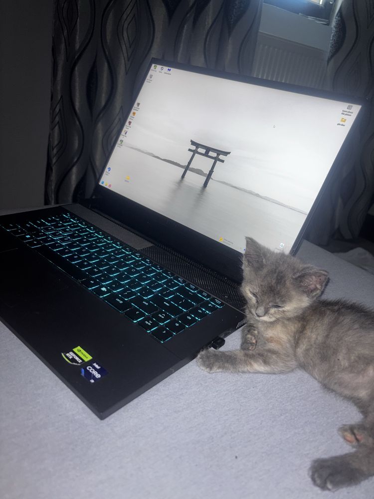Laptop gaming DELL i9 13900HX Rtx 4070 32 RAM 240hz
