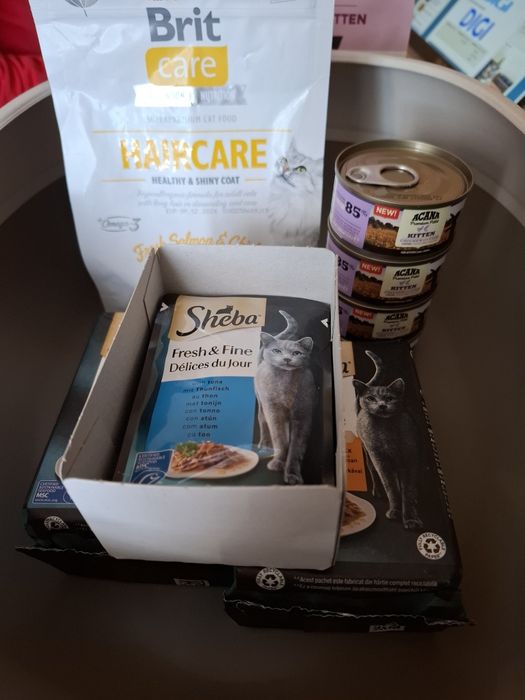 Litiera si mancare pisica