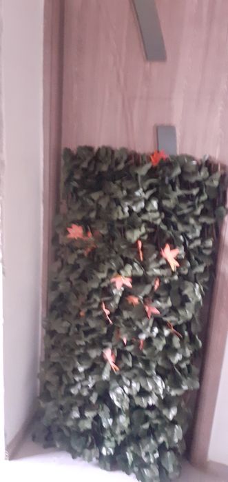 Vând decorațiune foișor