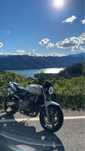 Honda Hornet 600 limitat A2 LEGAL