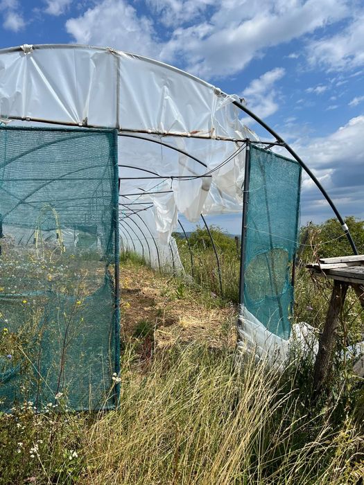 Solar 100 MP 5 pe 20