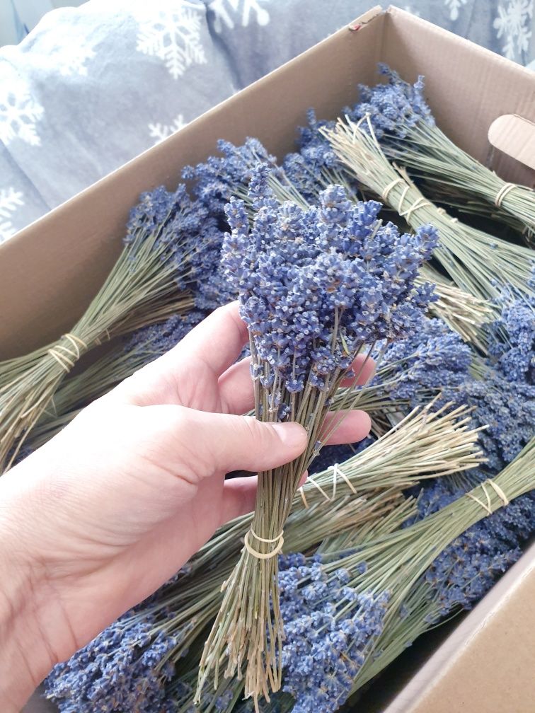 Lavanda uscata buchete