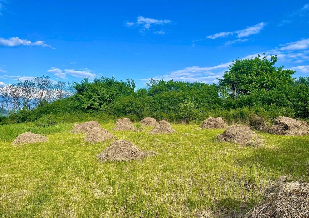 Teren intravilan de vânzare – 26 ari, priveliște superbă!