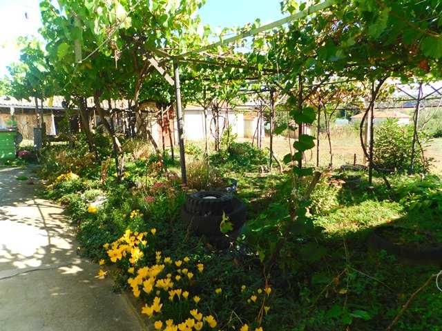 Къща, село Голямо Соколово, гр. Търговище