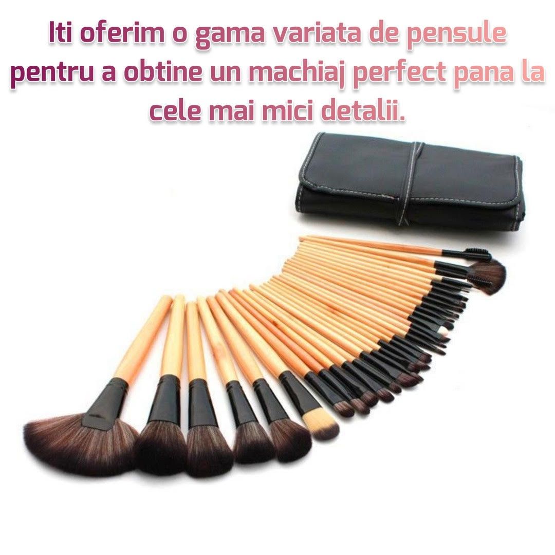 Set COMPLET Pensule Pentru Machiaj, Rezistente, 32 Buc, Gentuta Cadou