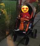 Cărucior / căruț Krausman 3 in 1 Lexxo Black Caramel unisex