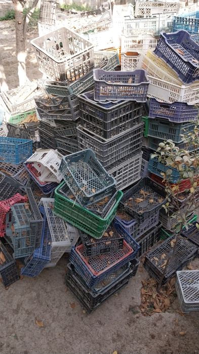 Plastic yashiklar