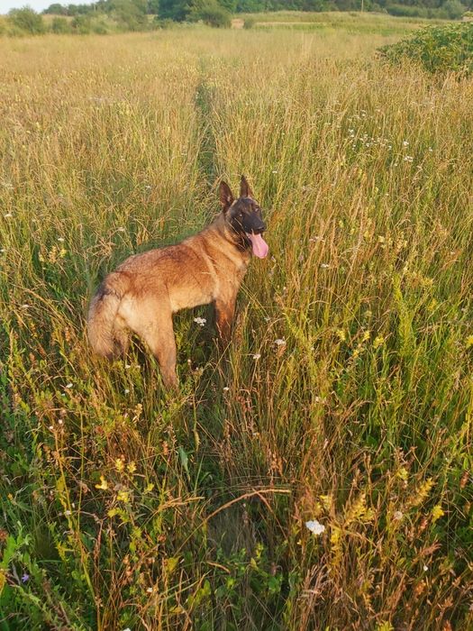 Hera in căutarea unei familii iubitoare