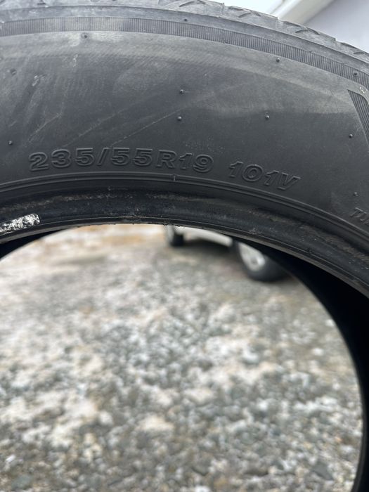 Жазгы донгелек.жагдайы оте жаксы.1 жаз салынган.