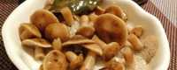 Маринованные грибы очень вкусные