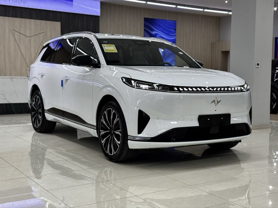.Dongfeng up 008.