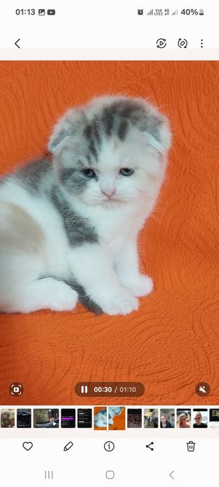 Продаётся  замечательная  девочка  ей месяца  только  бронь