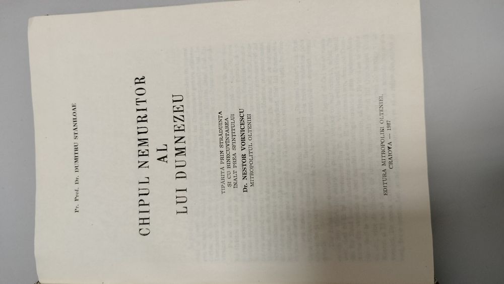 Chipul nemuritor al lui Dumnezeu, Dumitru Stăniloae