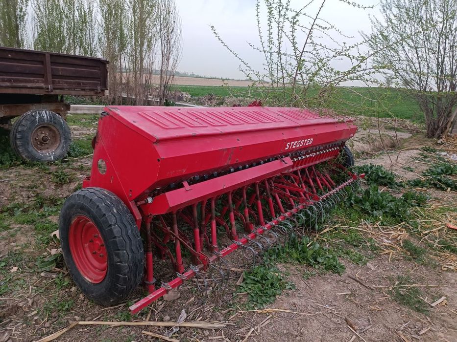 Сеелка в Узбекистане