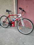 Bicicleta Focus Alpina adulti