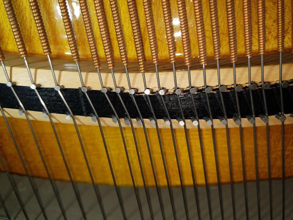 Pianina mecanica (acustica) Euterpe de talie medie
