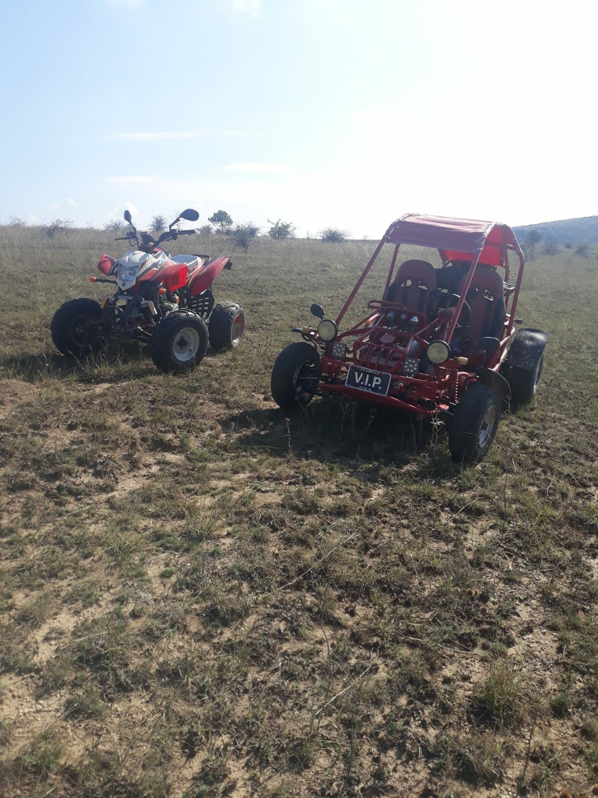 Buggy 260cc gs moon Acte